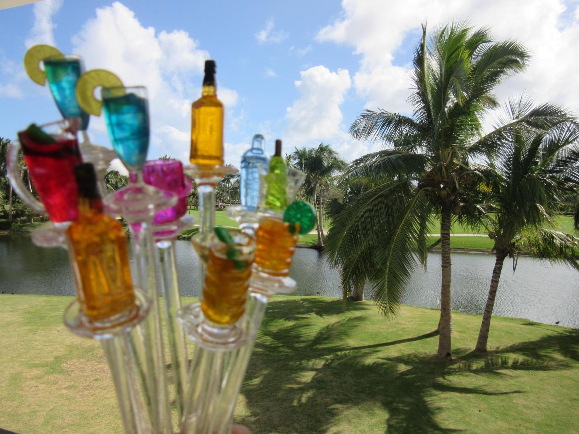 Seven Shades Of Coral Village - Suites & Pool In A Residence Close To The Beach 蓬塔卡纳 外观 照片